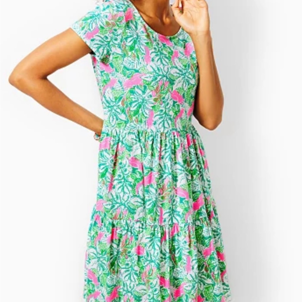 NWT Lilly Pulitzer Geanna Swing Dress - Just Wing It